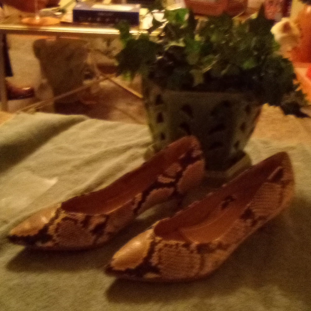 Vionic 8 1/2 snake skin